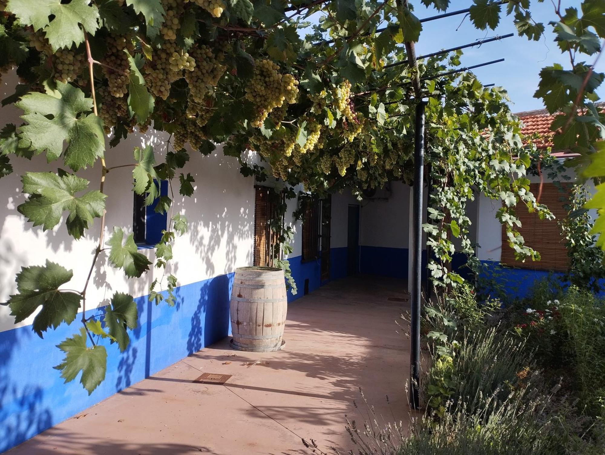 Villa Casa (tipo) RURAL MANCHEGA La Alameda de Cervera Exterior foto